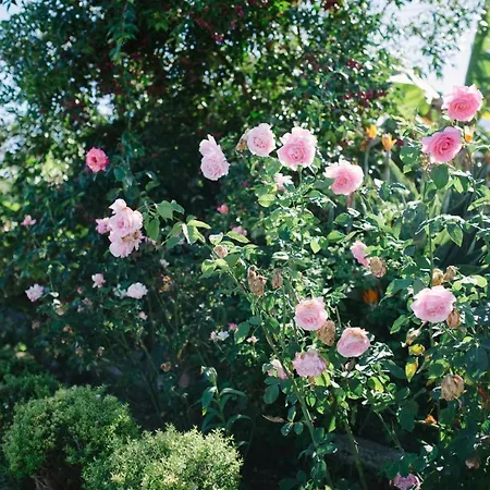 Εξοχικό σπίτι El Patio Λος Ρεαλέχος